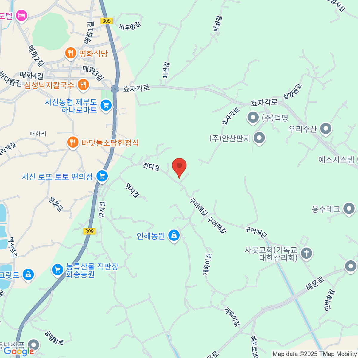 google-map-placeholder-image