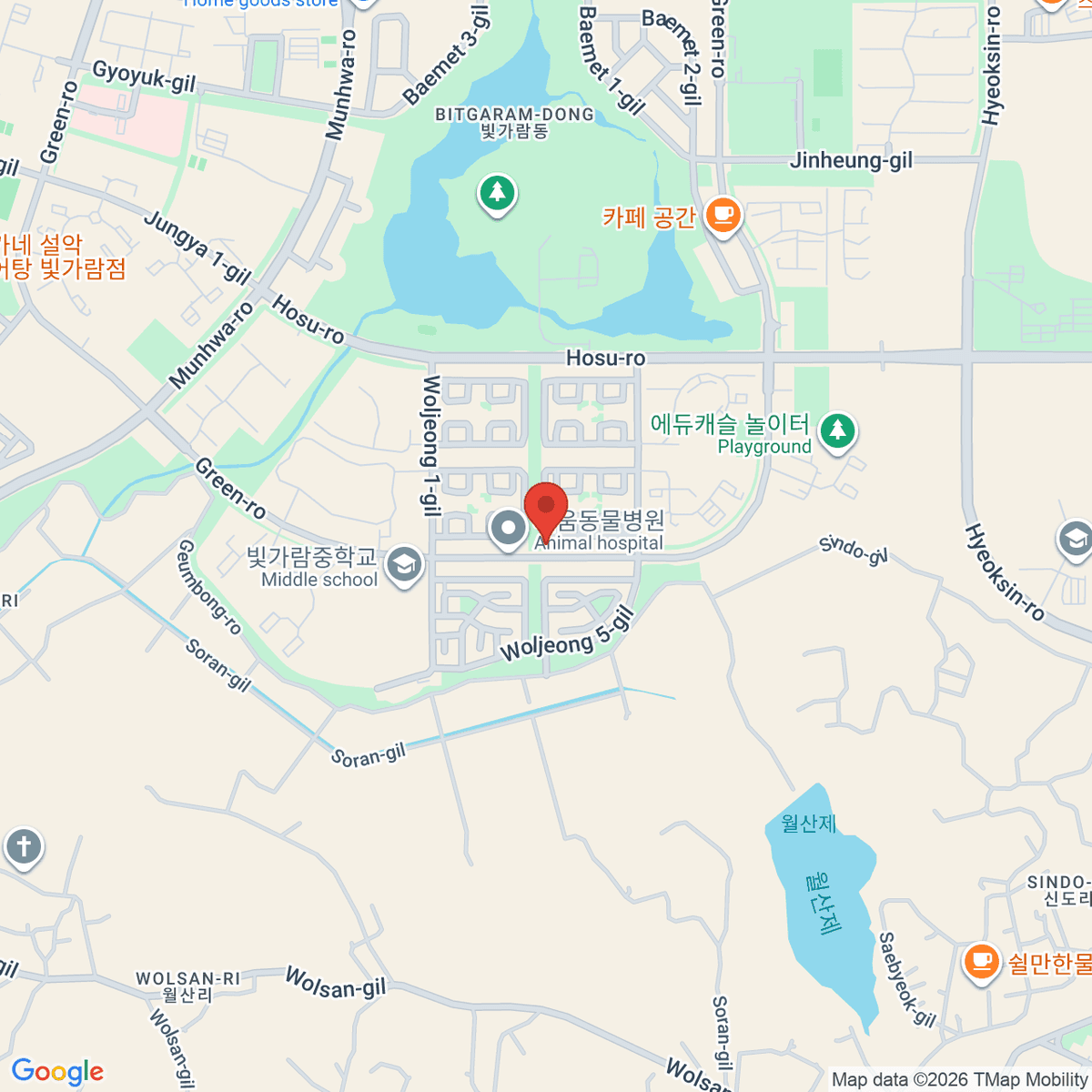 google-map-placeholder-image