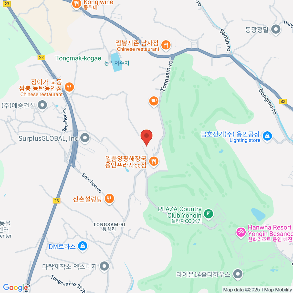 google-map-placeholder-image