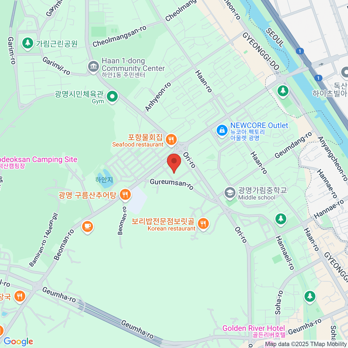 google-map-placeholder-image