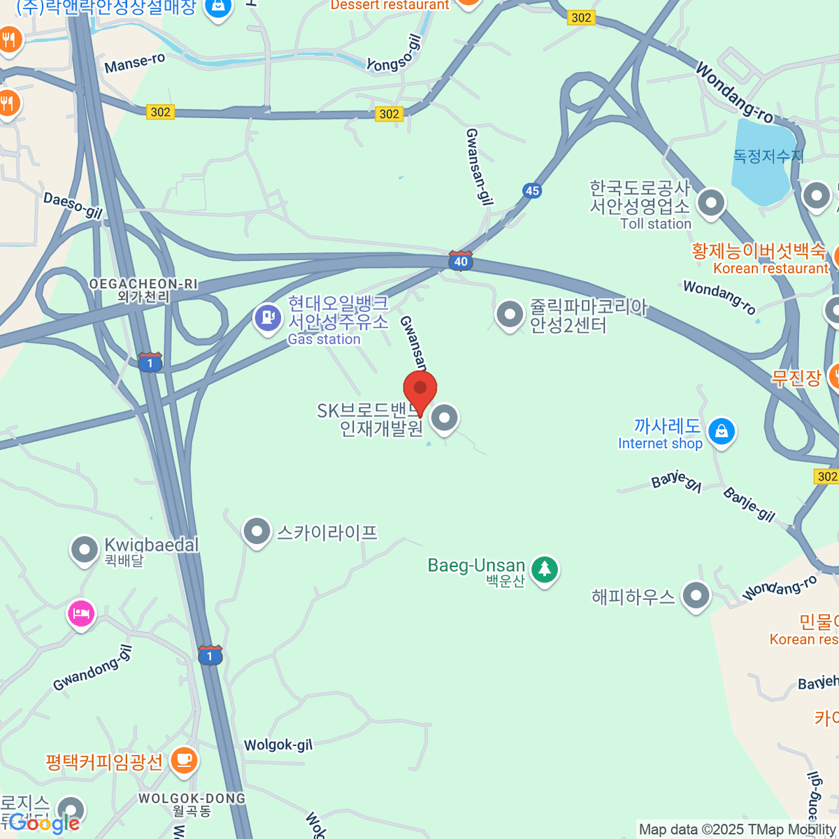 google-map-placeholder-image