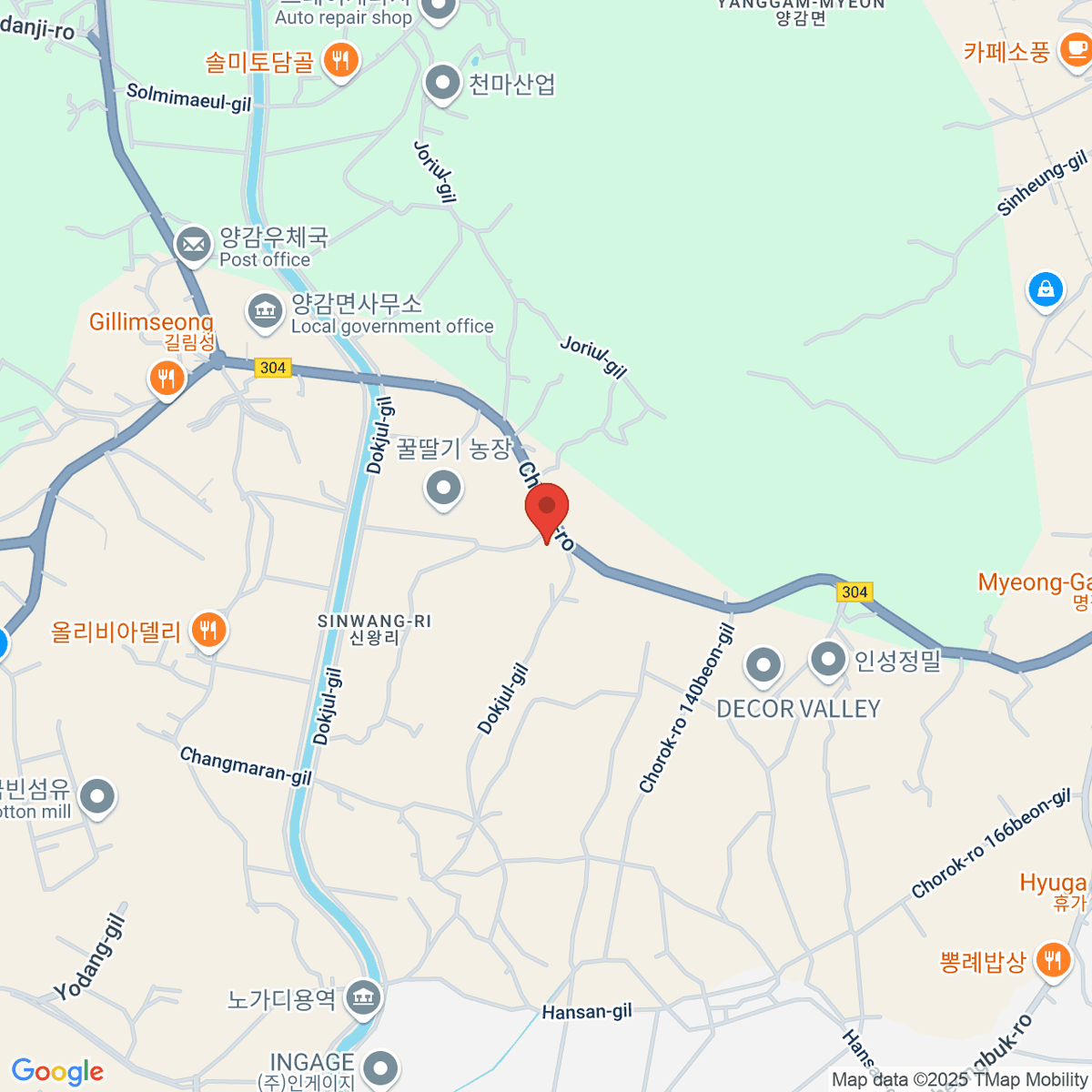 google-map-placeholder-image