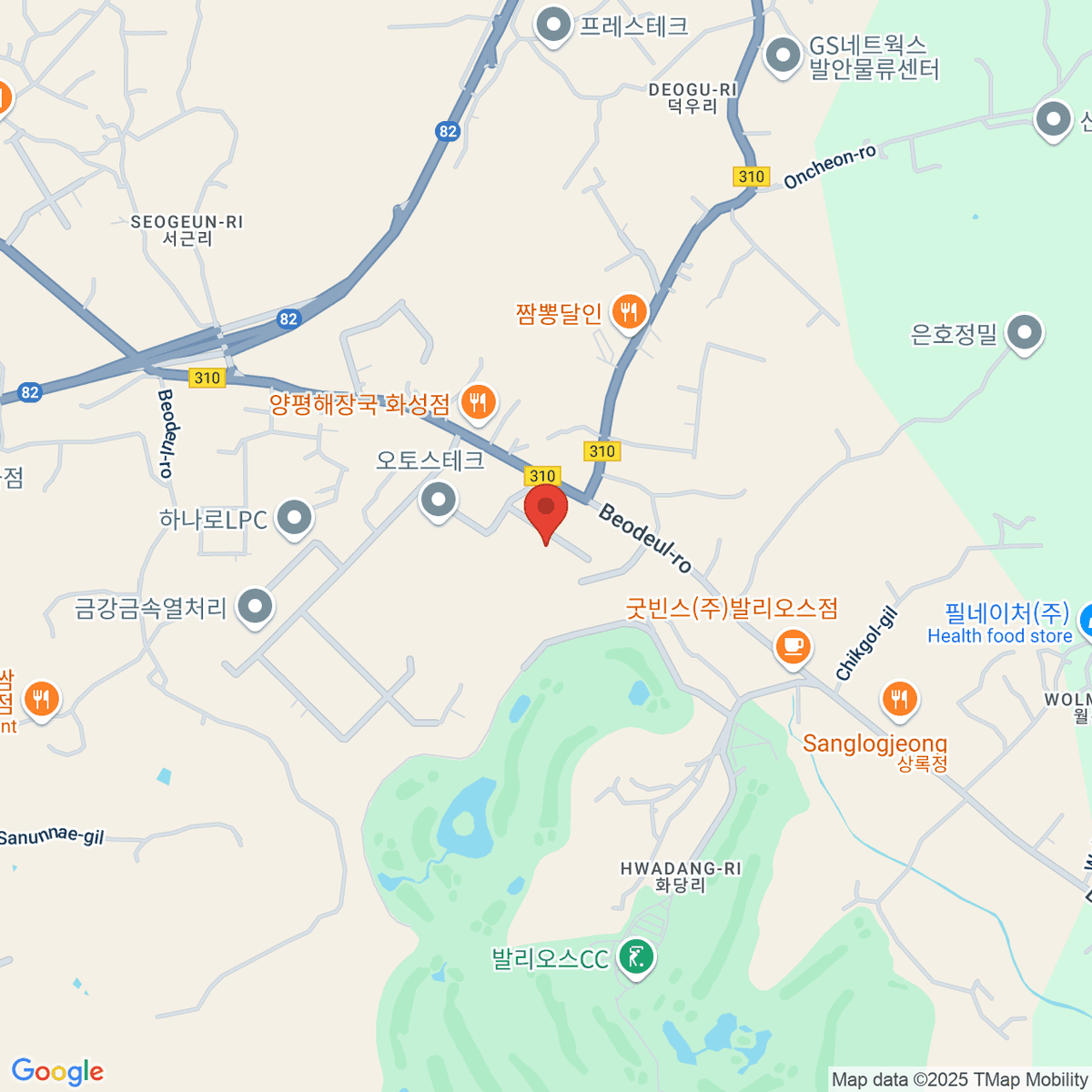 google-map-placeholder-image