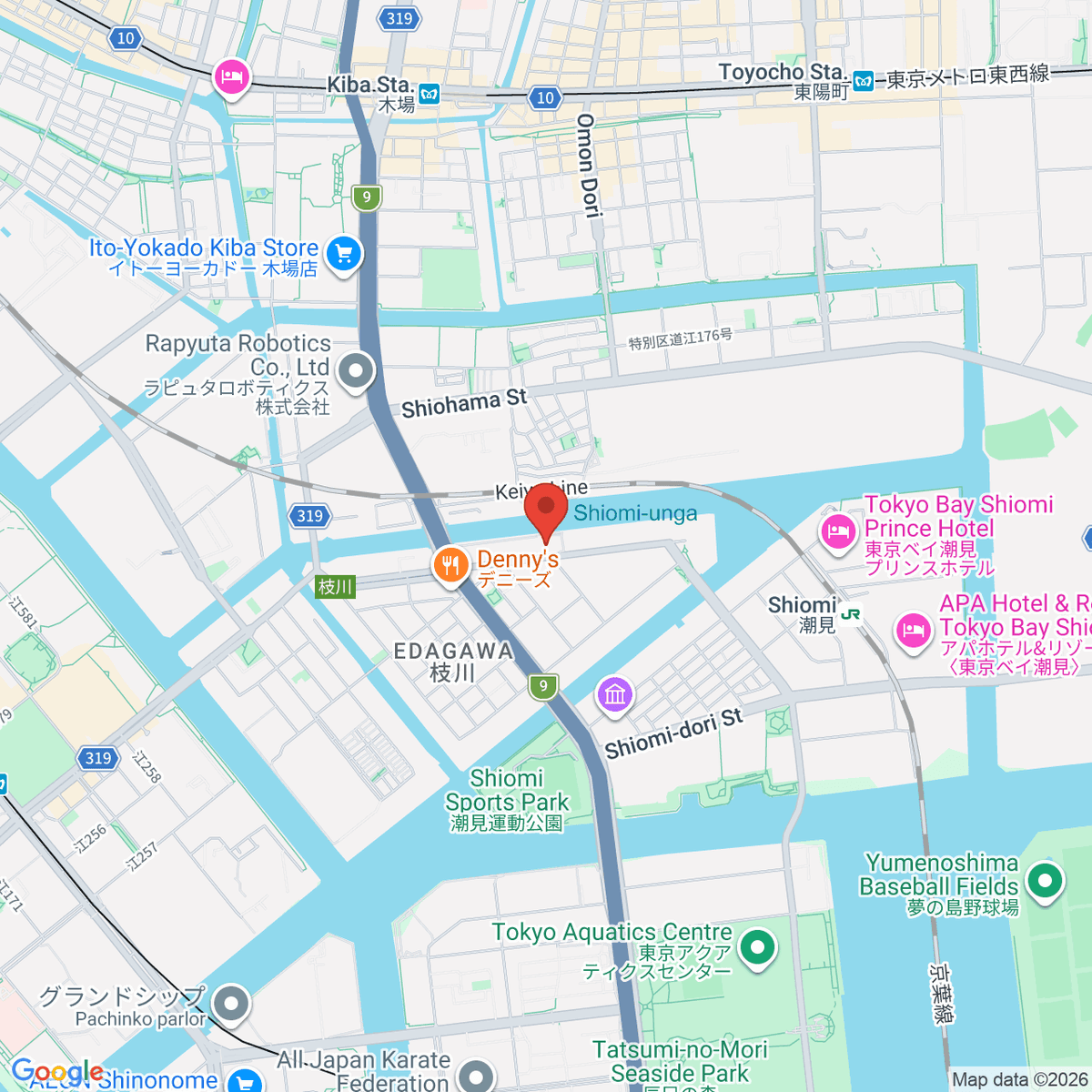 google-map-placeholder-image
