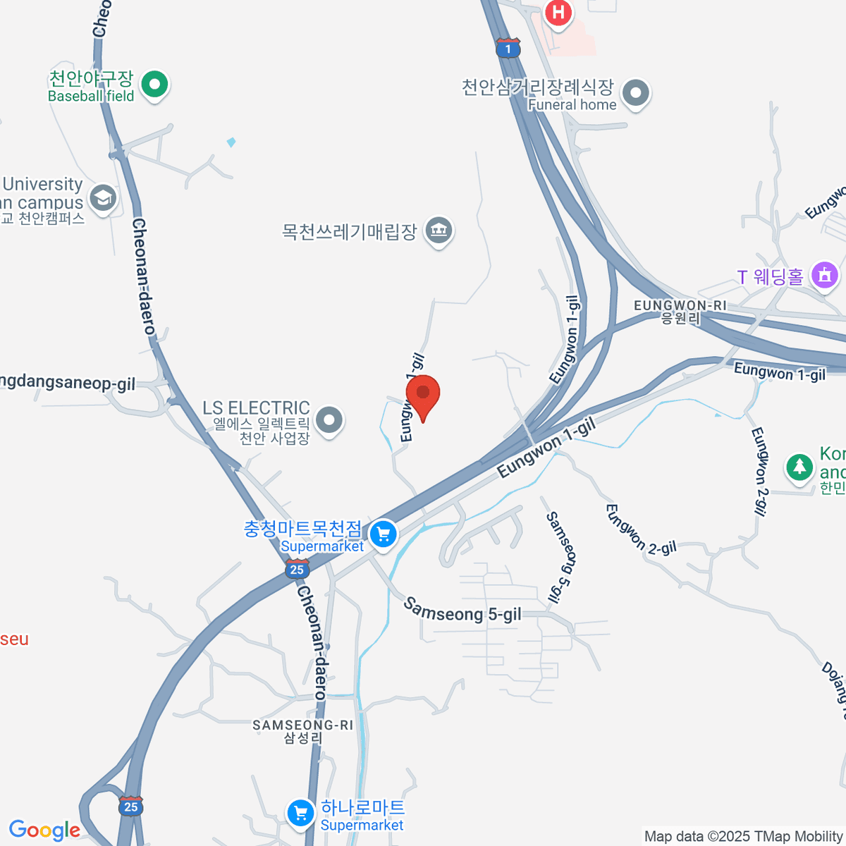 google-map-placeholder-image