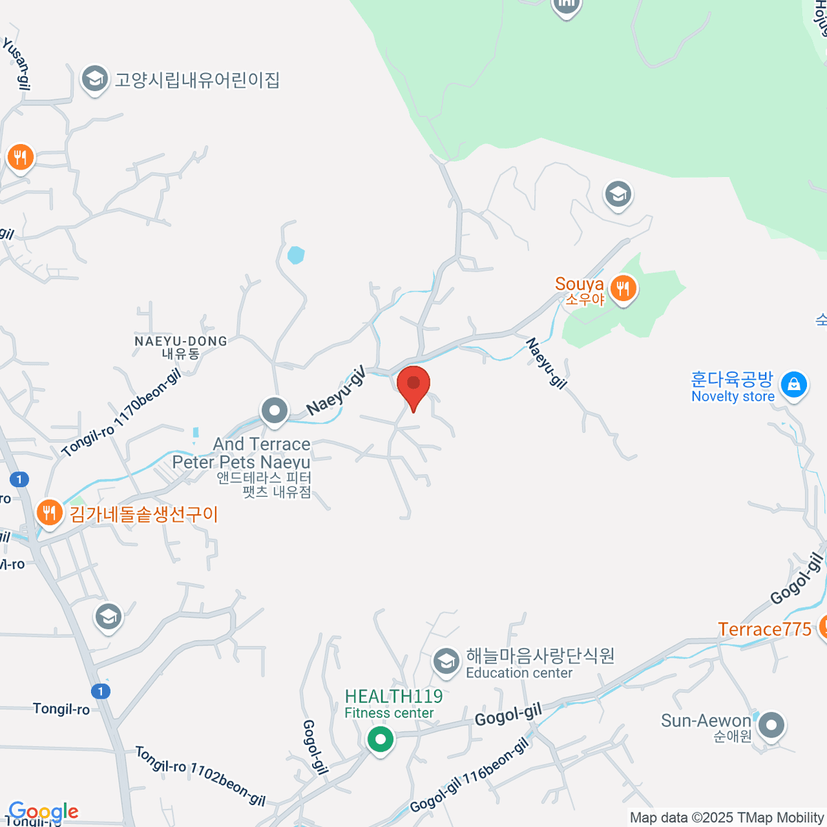 google-map-placeholder-image