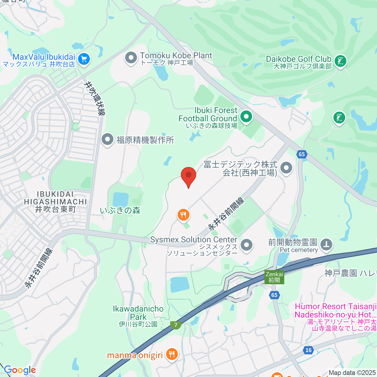 google-map-placeholder-image