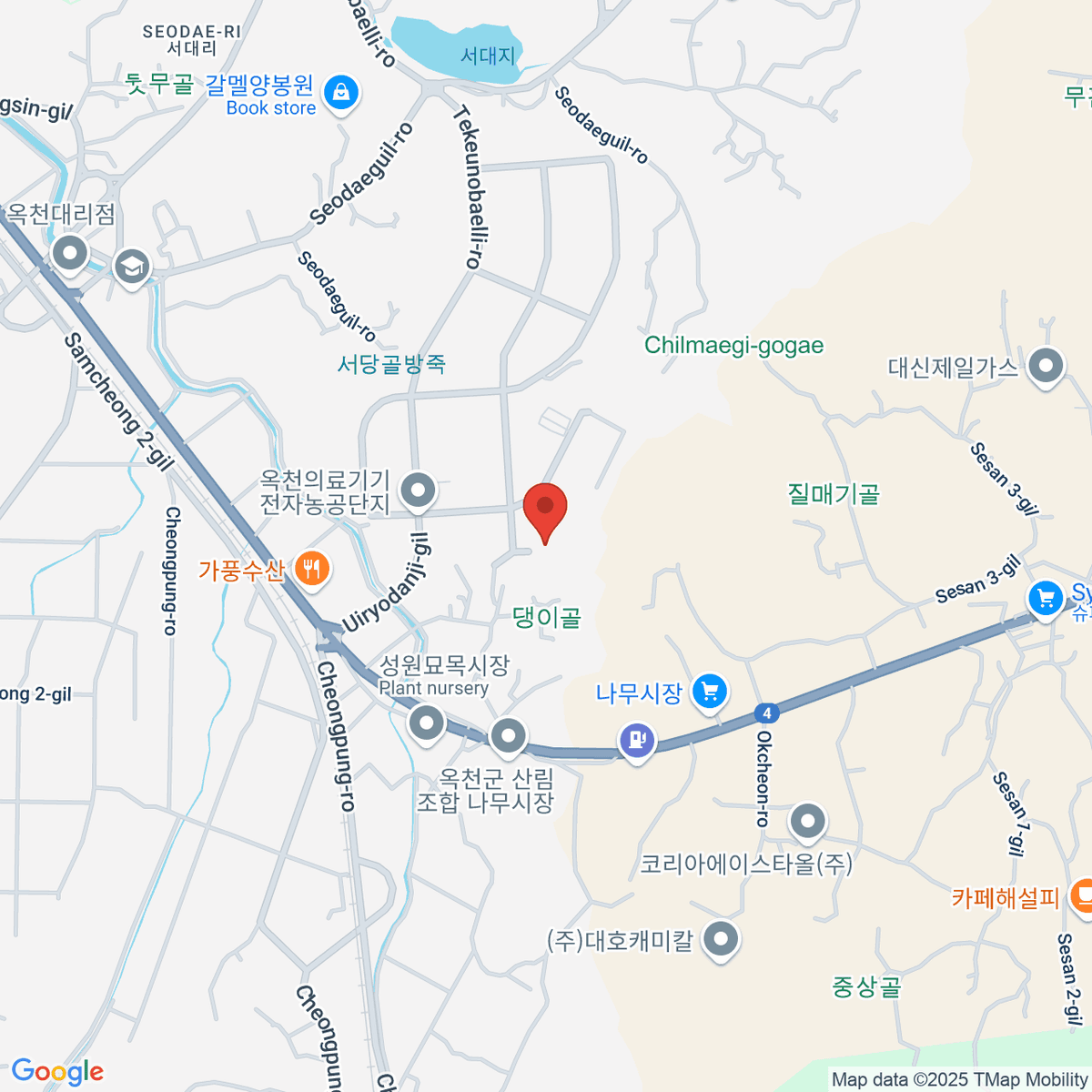 google-map-placeholder-image