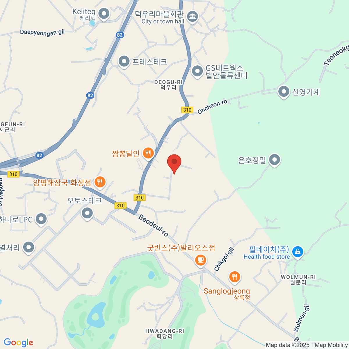 google-map-placeholder-image