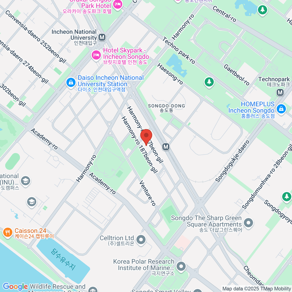 google-map-placeholder-image