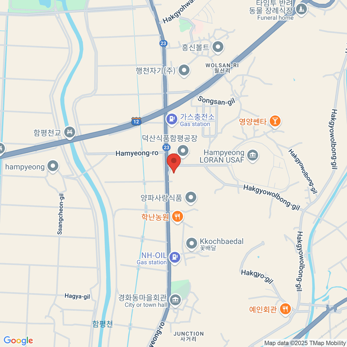 google-map-placeholder-image