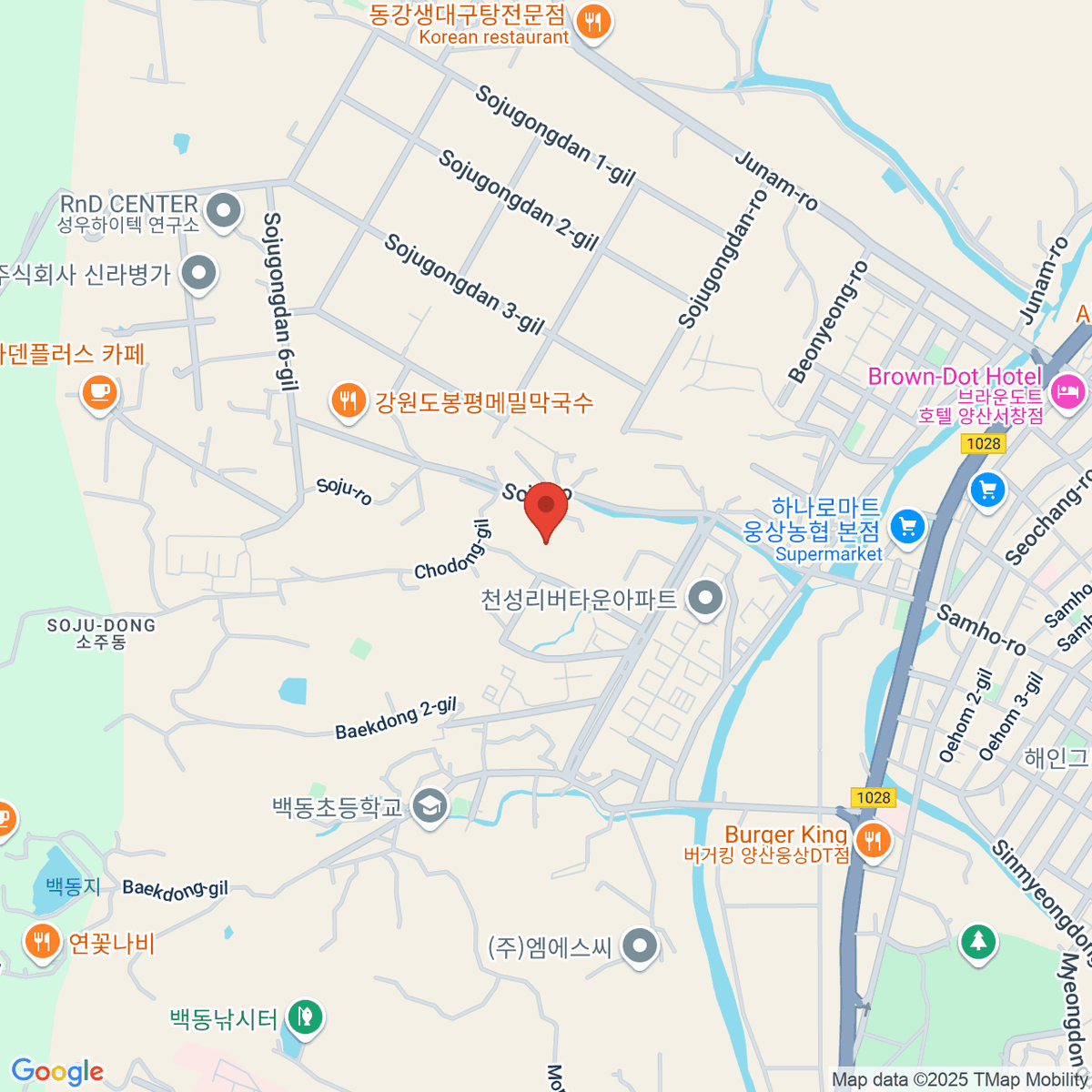 google-map-placeholder-image