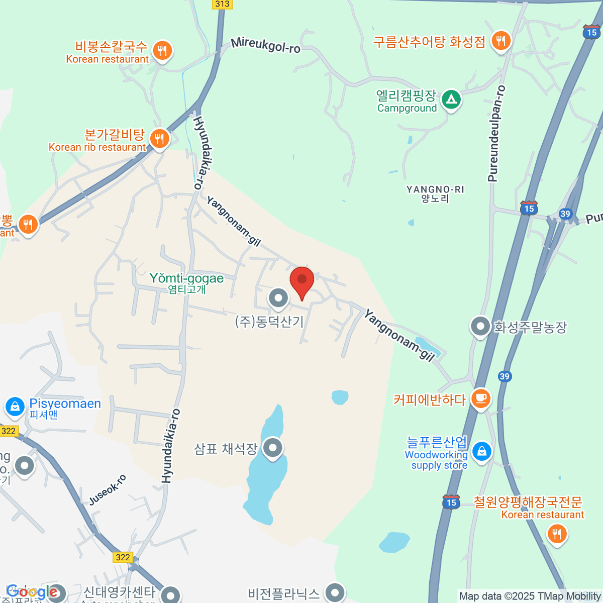 google-map-placeholder-image