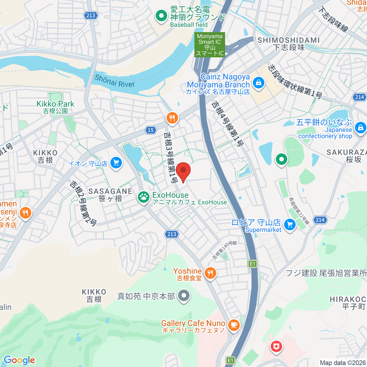 google-map-placeholder-image