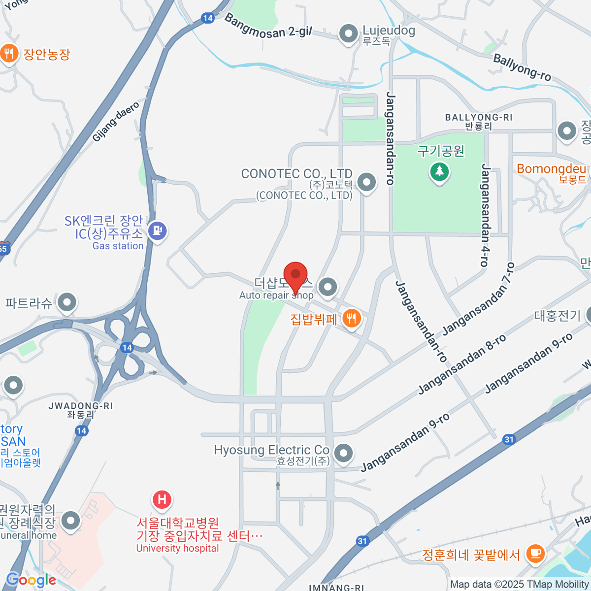 google-map-placeholder-image