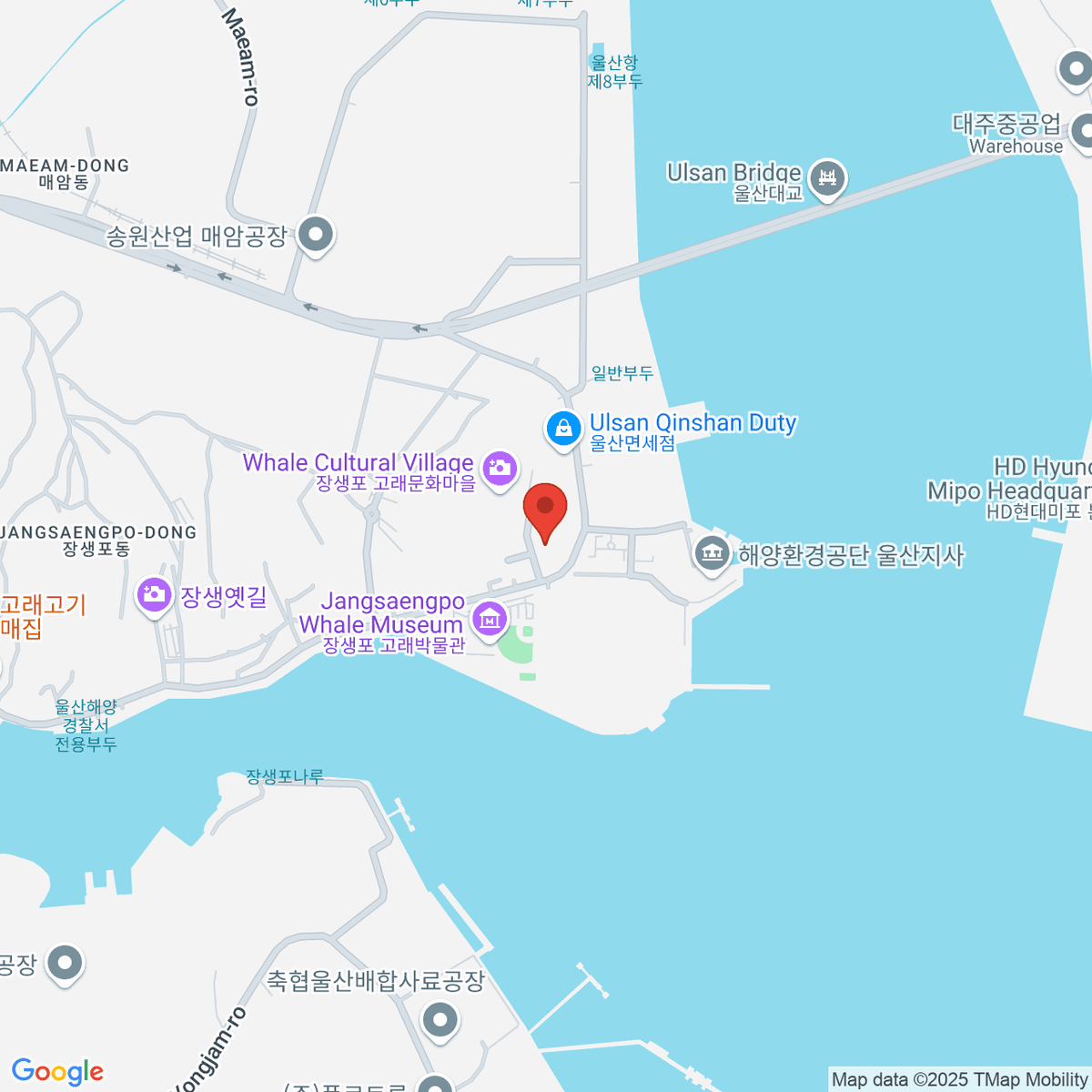 google-map-placeholder-image