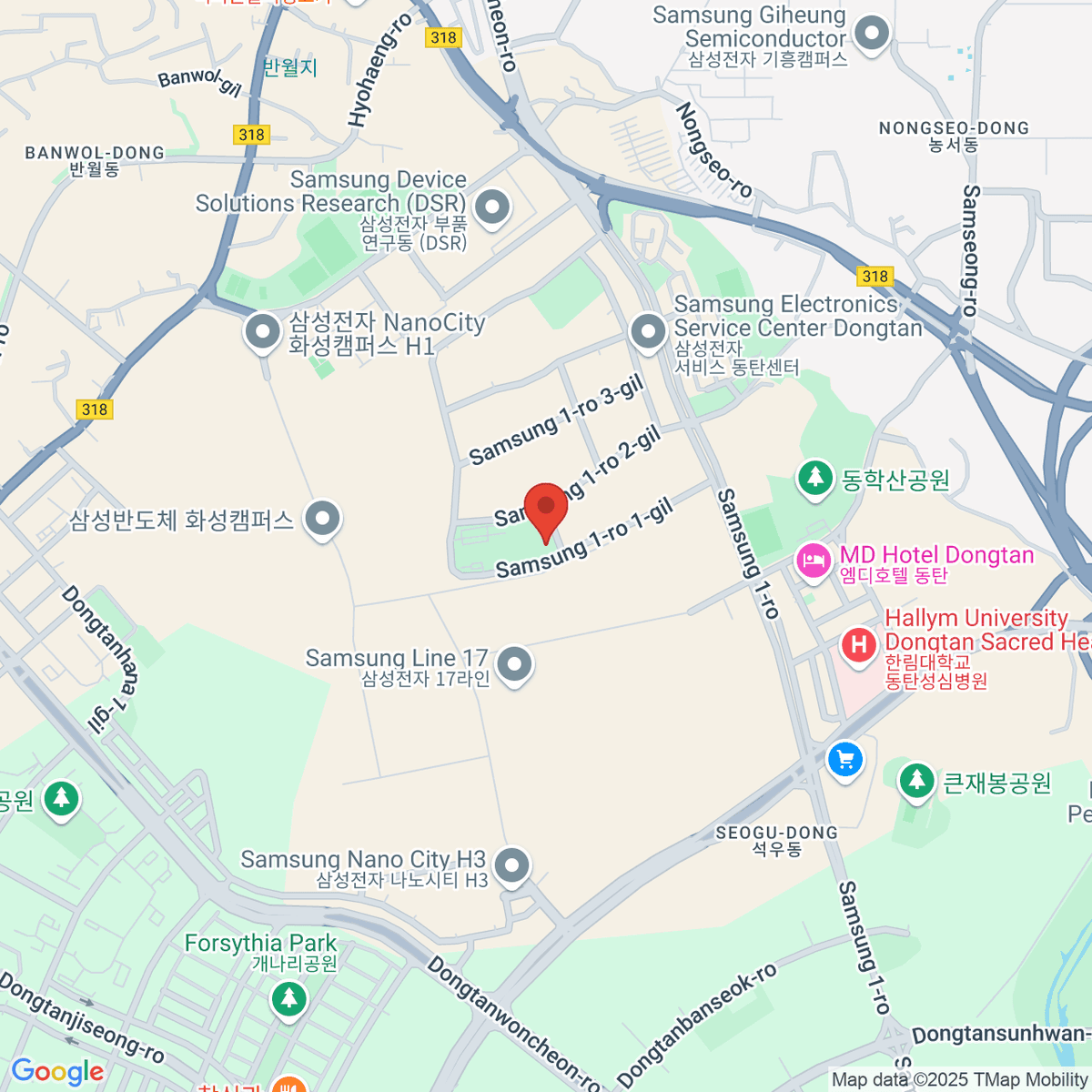 google-map-placeholder-image