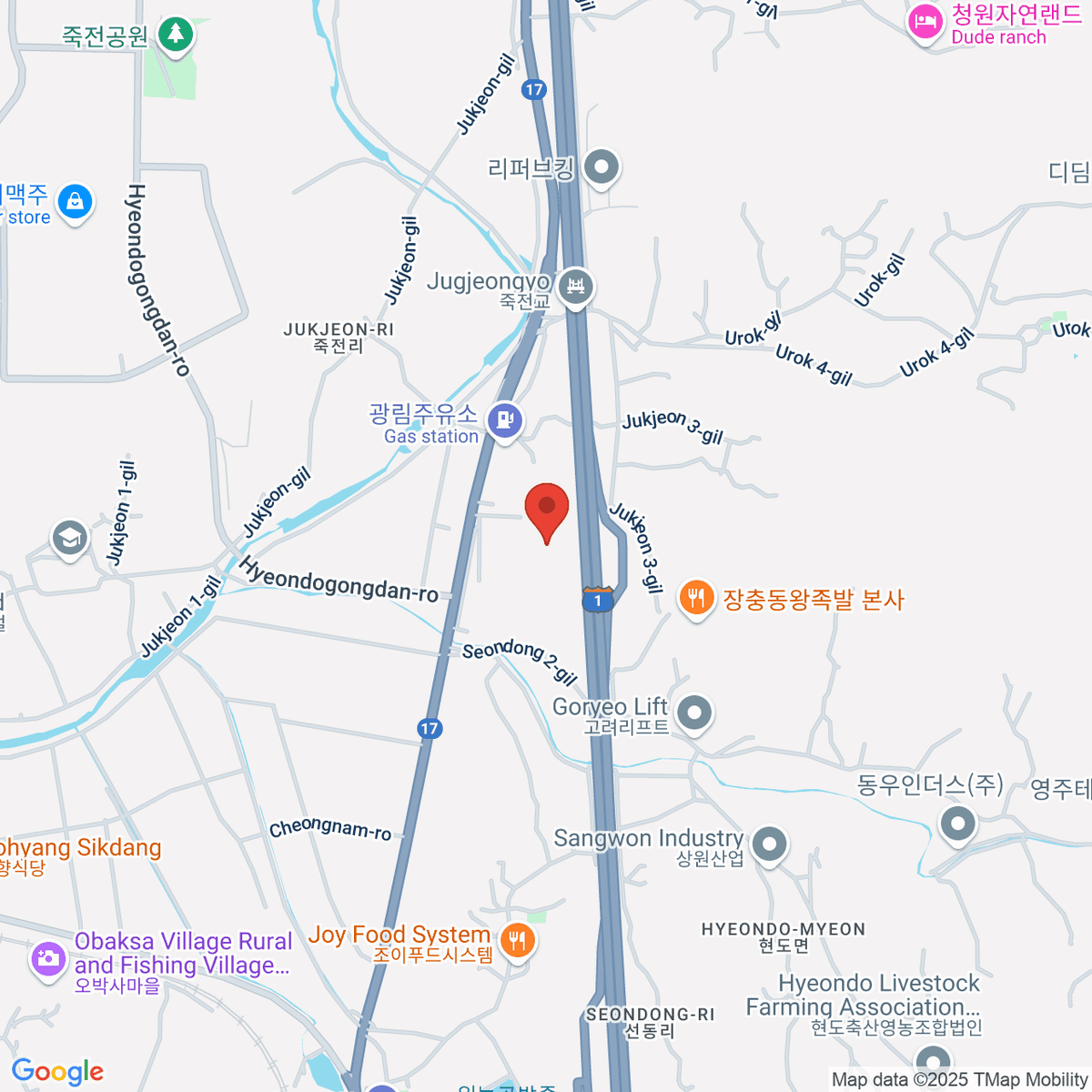 google-map-placeholder-image