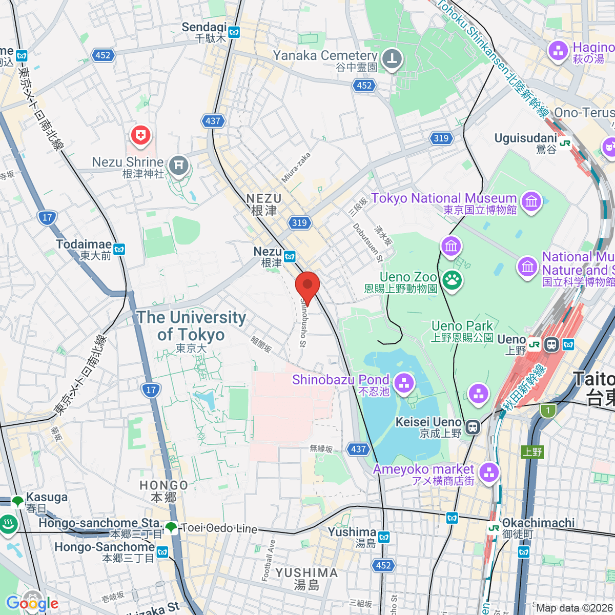 google-map-placeholder-image