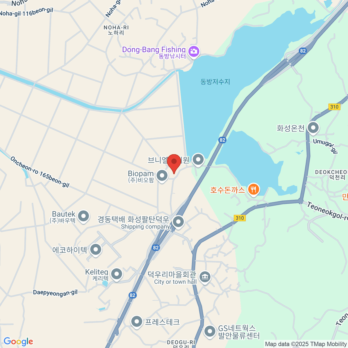 google-map-placeholder-image