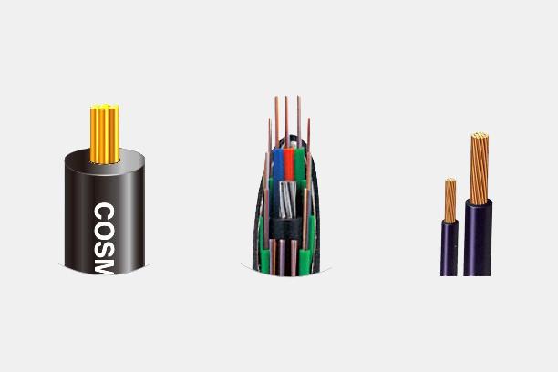 Brand Profile