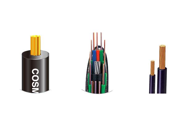 Brand Profile