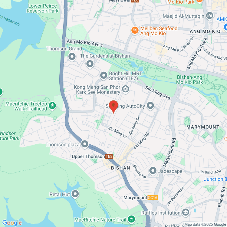 trader location