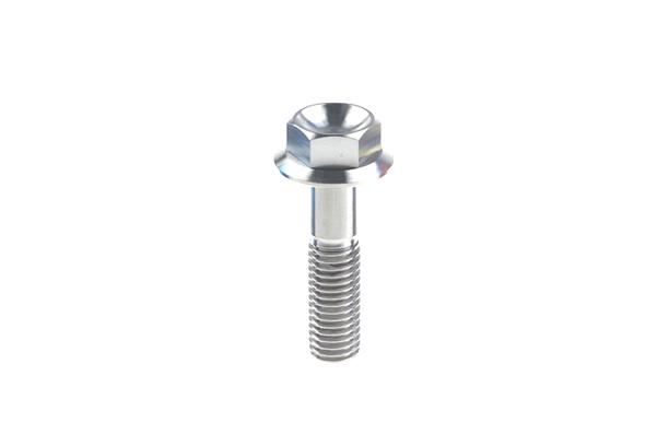 Flange Bolts