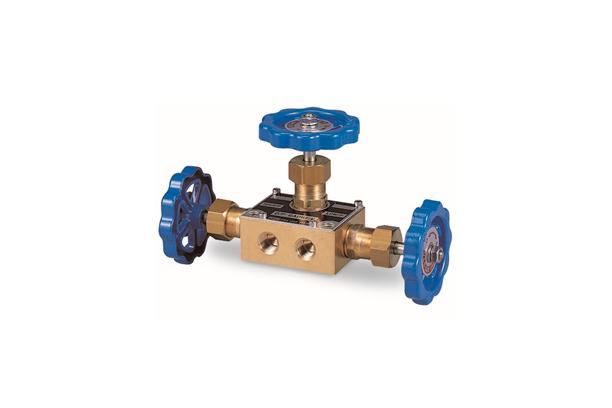 Gauge valve