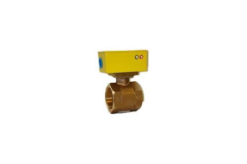 Flow Switch - Flo-Gage II