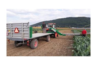 Belt Carried on Platform