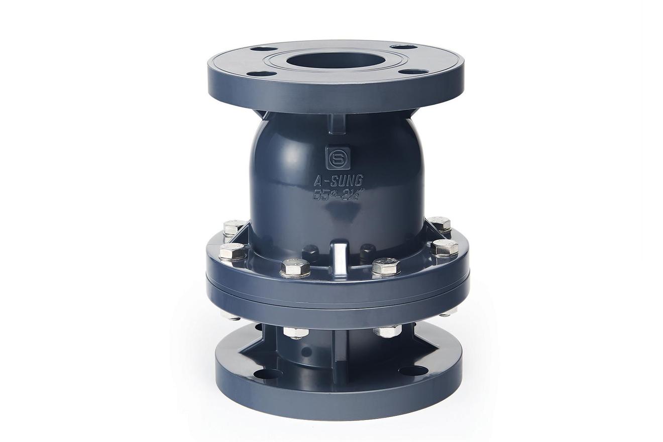 Check Valve