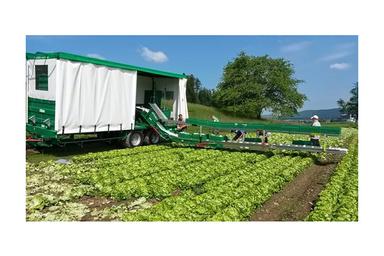 DELECROIX Vegetable Trailer