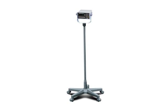 Platform Scale (Cattle Weight Bridge Platform)