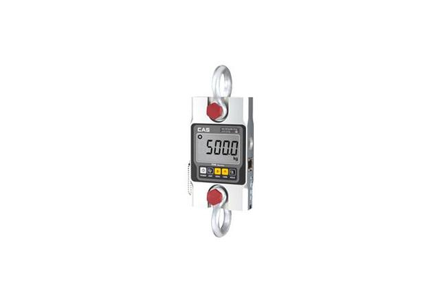 Crane Scale