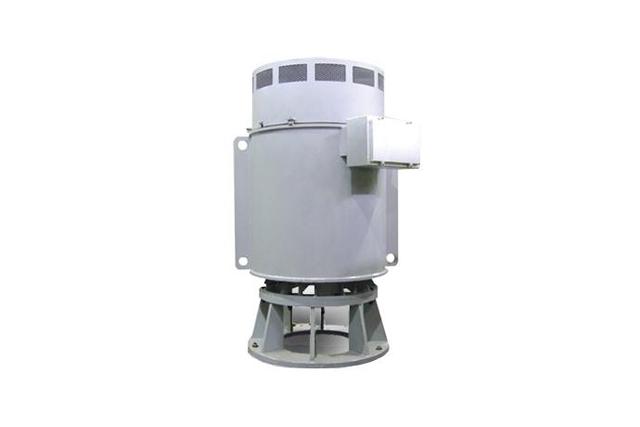 Nuclear Power Plant Motor