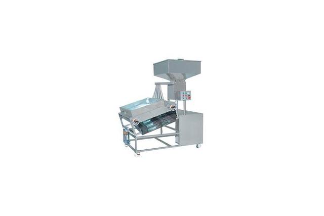 Automatic Sorting Machine