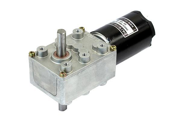 Worm Geared Coreless Motor (Double Shaft)