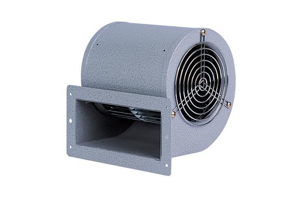 BLDC Motor