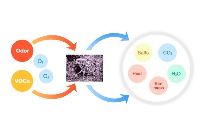 Bio Filtration Technology