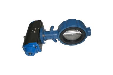 Butterfly Valve (Spare Parts)