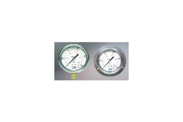 Pressure Gauge