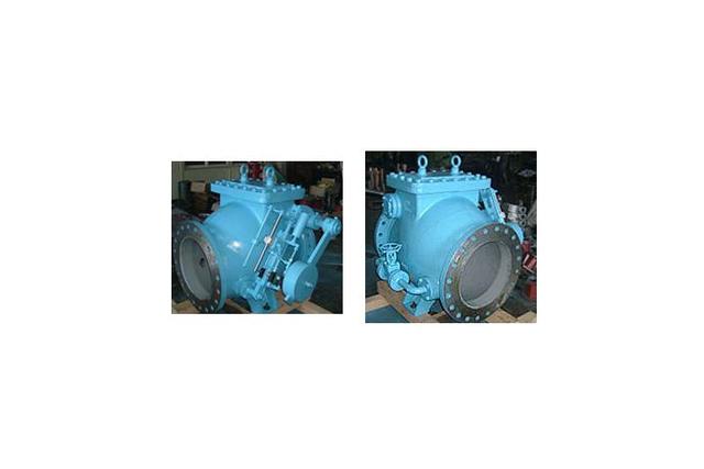 Swing Check Valve