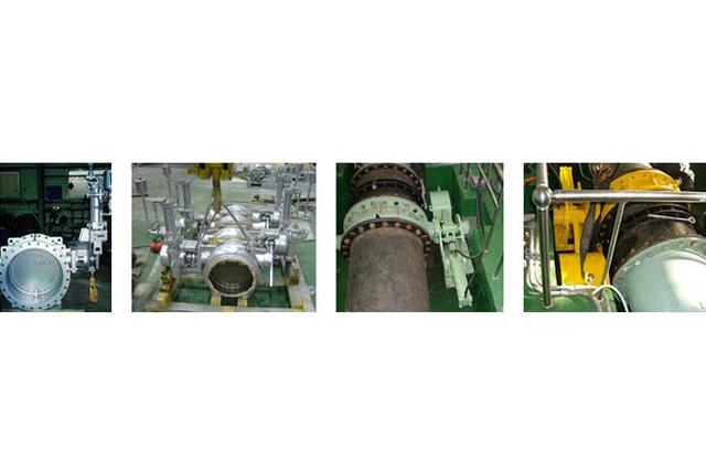 Butterfly Check Valve