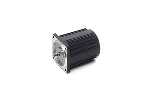 Induction Motor (6W, 1/124 HP)