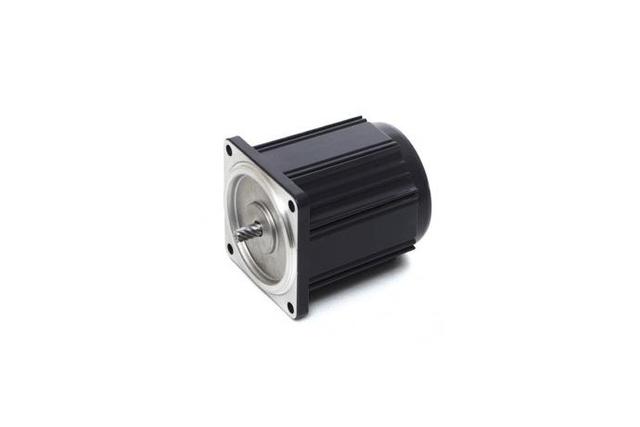 Induction Motor (15W, 1/50 HP)