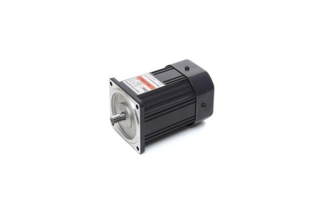 Induction Motor (120W, 1/6 HP)