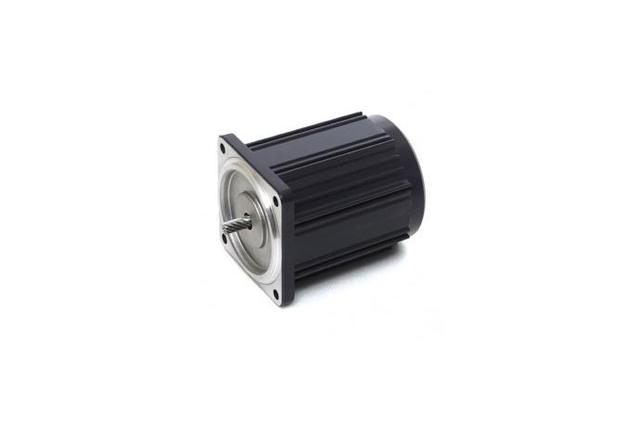 Reversible Motor (6W, 1/124 HP)