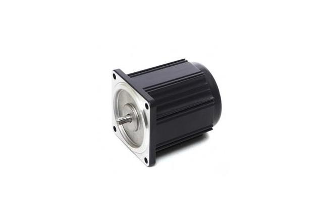 Reversible Motor (15W, 1/50 HP)