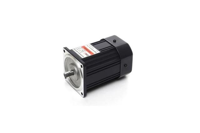 Reversible Motor (120W, 1/6 HP)